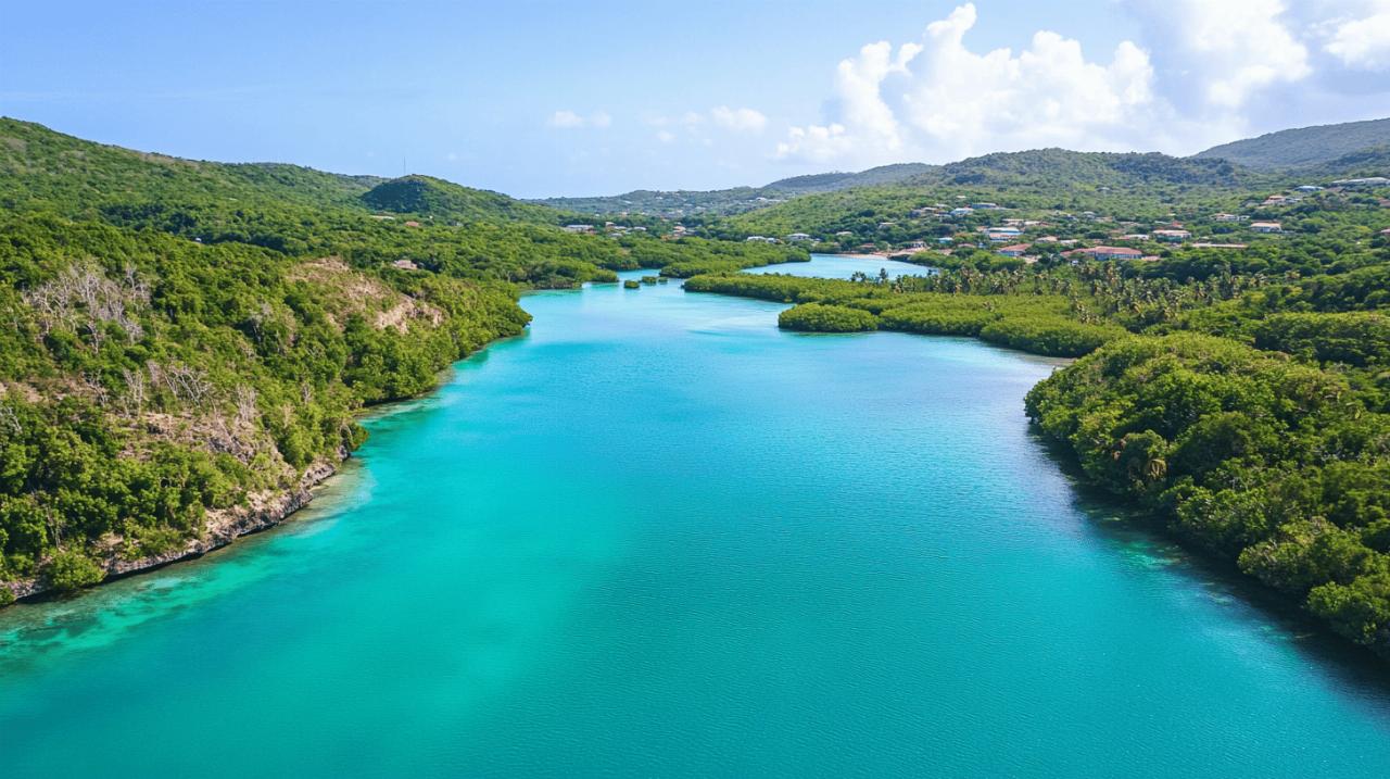 Le Grand Cul de Sac Marin devoile ses secrets : exploration sous-marine en Guadeloupe